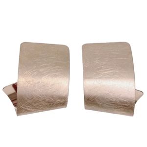 NWOT | Express Twisted Metal Earrings